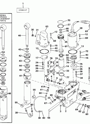 POWER TRIM / TILT HYDRAULIC ASSEMBLY