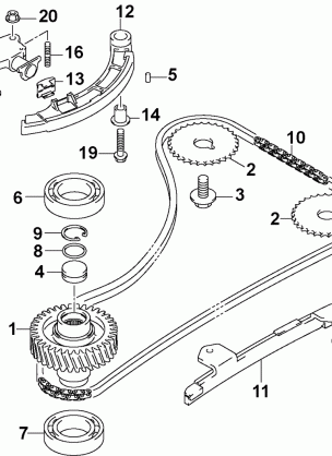 TIMING CHAIN