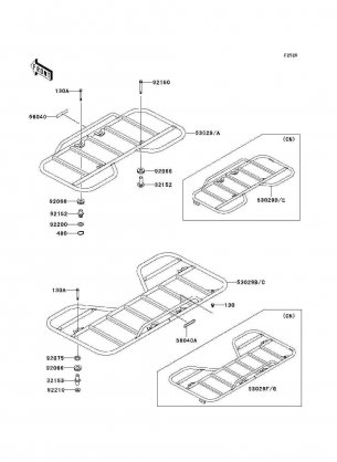 Carrier(s)