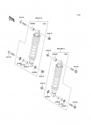 Shock Absorber(s)