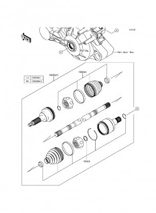 Drive Shaft-Rear