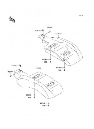 Rear Fender(s)