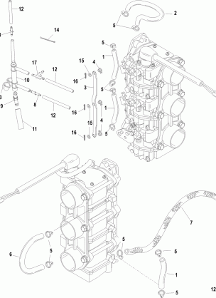 Fuel Lines