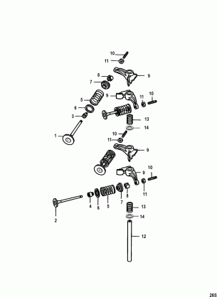 Intake and Exhaust Valves