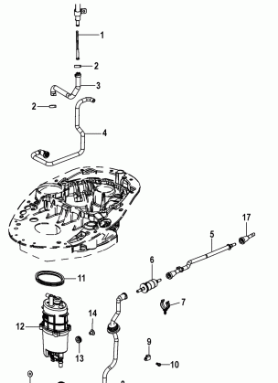 Fuel Supply System-Hoses and Module