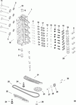 Cylinder Head and Camshaft