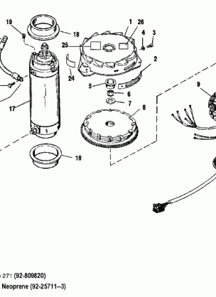 FLYWHEEL / STARTER MOTOR