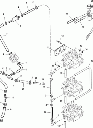 Fuel Lines