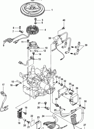 Flywheel / Ignition Coil