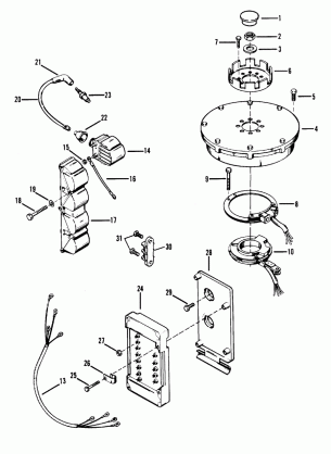 Flywheel Ignition Coil and Switch Box