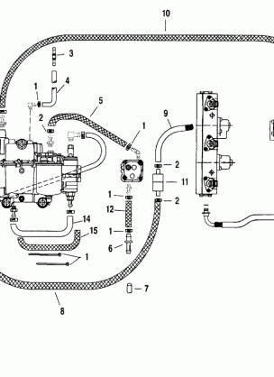 FUEL HOSES