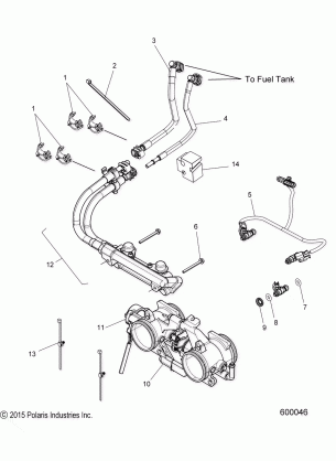 FUEL SYSTEM RAIL LINES and THROTTLE BODY - S17EFN8 / EFT8 ALL OPTIONS (600046)