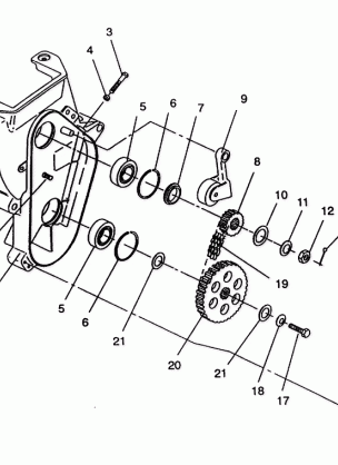 CHAINCASE ASSEMBLY SPORT SKS E940243 (49273627360017)