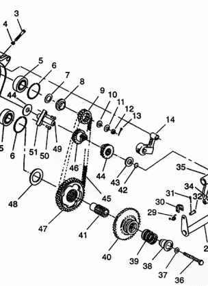 CHAINCASE ASSEMBLY TRAIL DELUXE E940262 (49273827380018)