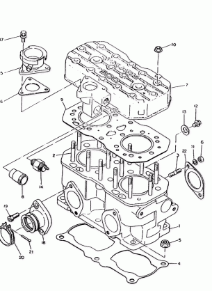 PISTON and CRANKSHAFT  WideTrak (4921302130037A)