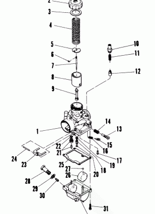 Carburetor (Trail) (4909500950047A)