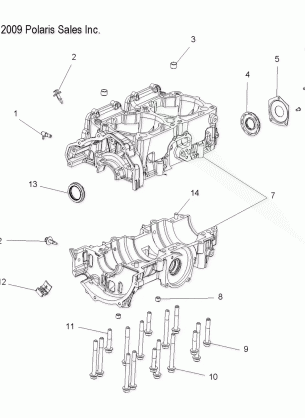 ENGINE CRANKCASE - S10PP8 ALL OPTIONS (49SNOWCRANKCASE10ASLT)