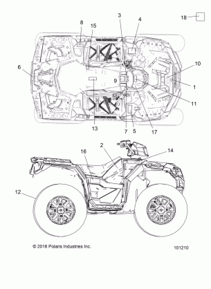 BODY DECALS - A17SXS95CL (101210)