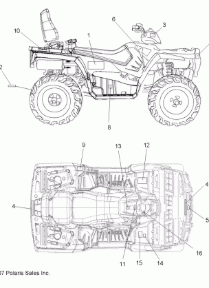 BODY DECALS - A08DN50AF / AS / AW / AZ (49ATVDECAL08SPTRG500)