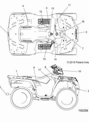 BODY DECALS - A16SHE57NM (100258)