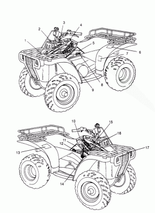 DECALS Sportsman 4x4 W958040 (4930403040A009)