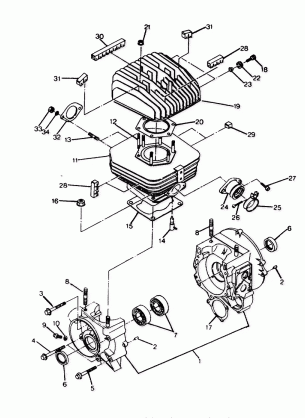 CRANKCASE and CYLINDER  250 2X4 - Update (4919781978033A)