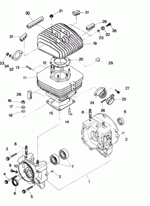 Crankcase and Cylinder Assembly (4913491349031A)