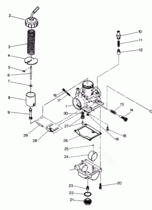 Carburetor Assembly (4913501350034A)