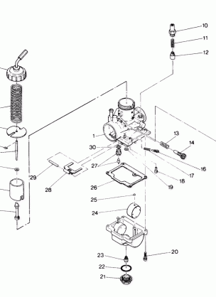 Carburetor Assembly (4913491349034A)