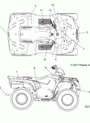 BODY DECALS - A18SEF57N5