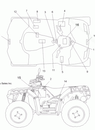 BODY DECALS - A14ZN8EFP (49ATVDECAL13850F)