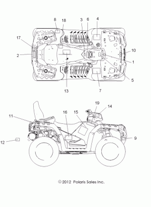 BODY DECALS - A13DN5EAF / EAR (49ATVDECAL13SPTRG550EPS)