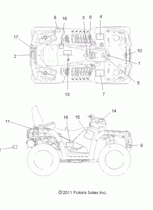 BODY DECALS - A12DN5EAF / EAR (49ATVDECAL12SPTRGEPS)