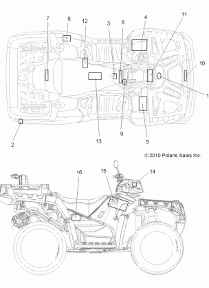 BODY DECALS - A11TN55FA (49ATVDECAL11SPX2550I)