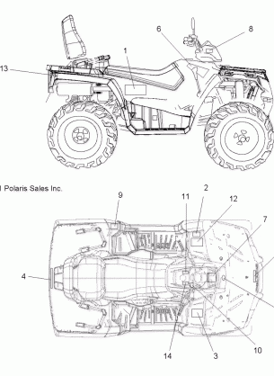 BODY DECALS - A11DH50FX (49ATVDECAL11SPTRG500I)