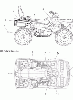 BODY DECALS - A10DH50AX / AZ (49ATVDECAL10SP500TRG)