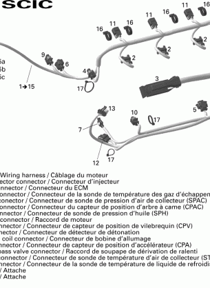 10- Engine Harness