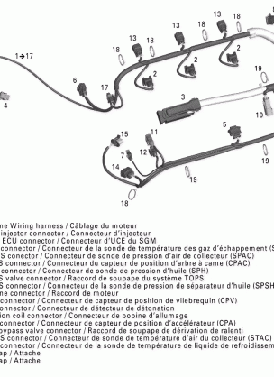 10- Engine Harness