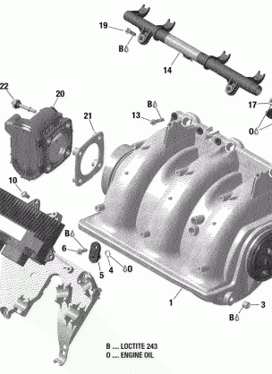 02- Air Intake Manifold And Throttle Body - 230