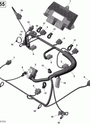 10- Engine Harness And Electronic Module - 155 Model Without Suspension