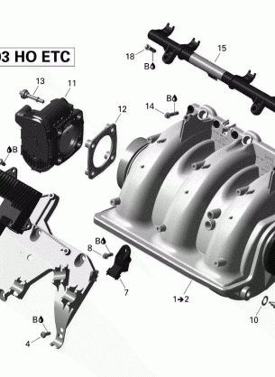 02- Air Intake Manifold And Throttle Body