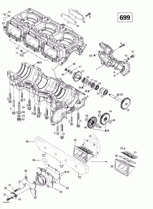 01- Crankcase Reed Valve Water Pump (699)