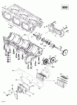 01- Crankcase Reed Valve Water Pump (809)