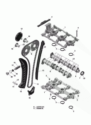 01- Camshafts And Timing Chain _05R1555