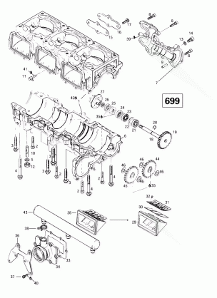 01- Crankcase Reed Valve Water Pump (699)