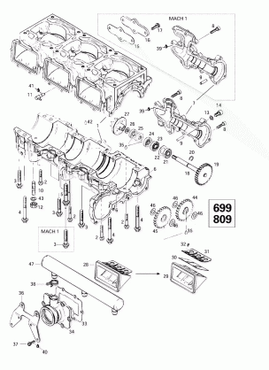 01- Crankcase Reed Valve Water Pump (699809)