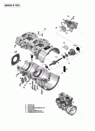 01- Crankcase And Water Pump - 600HO E-TEC