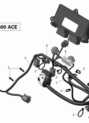 10- Engine Harness and Electronic Module - 600 ACE