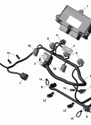 10- Engine Harness And Electronic Module - 900 ACE