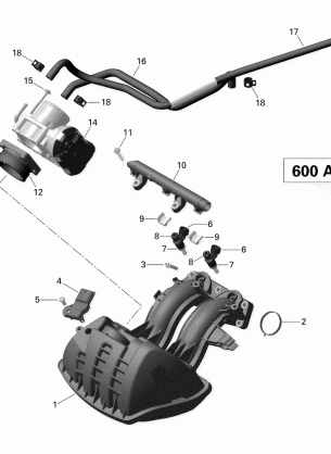 02- Air Intake Manifold and Throttle Body - 600 ACE